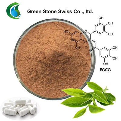 Herbal Powder Green Tea Extract