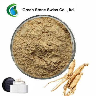 Chinese Medicine Powder Ginseng Root Extract