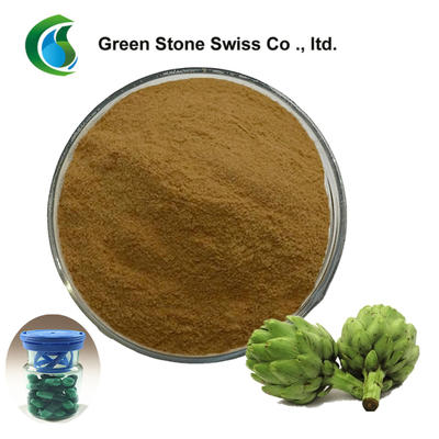 Concentrated Plant Extract Cynara Scolymus Artichoke Extract