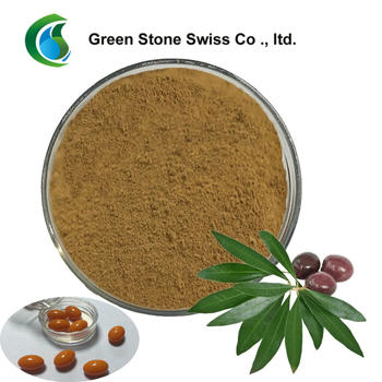 Concentrated Plant Extract Oleuropein Olive Leaf Extract