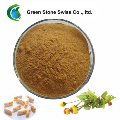 Spilanthes Acmella Flower Extract Acerola Extract Powder