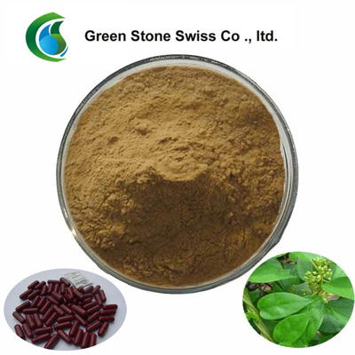 Antimicrobial Plant Extracts Gymnema Sylvestre Extract