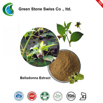 Crude Plant Extract Belladonna Extract