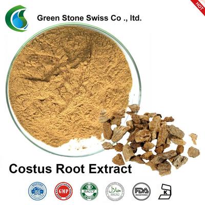 Plant Extract Powder Costus Root Extract