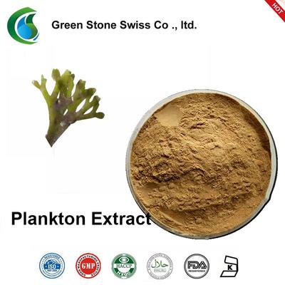 Plankton Extract Powder Natural Botanical Extracts