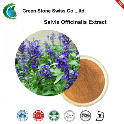 Crude Plant Extract Salvia Officinalis Extract Powder