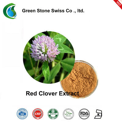 Natural Red Clover Extract Powder Chinese Herbal Extracts