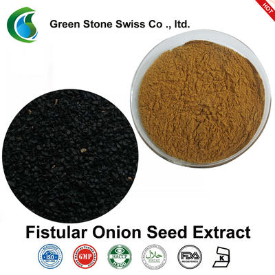 Fistular Onion Seed Extract