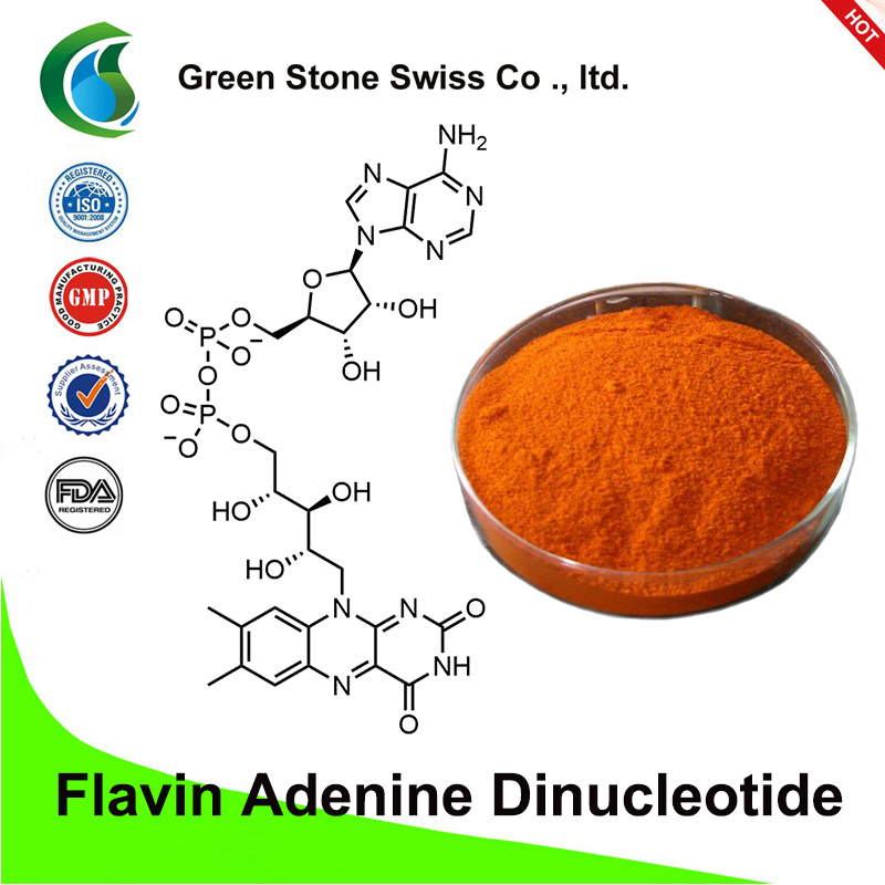 Flavin adenine dinucleotide