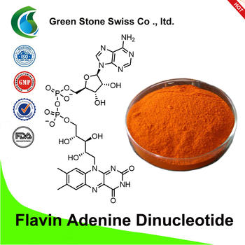 Flavin adenine dinucleotide