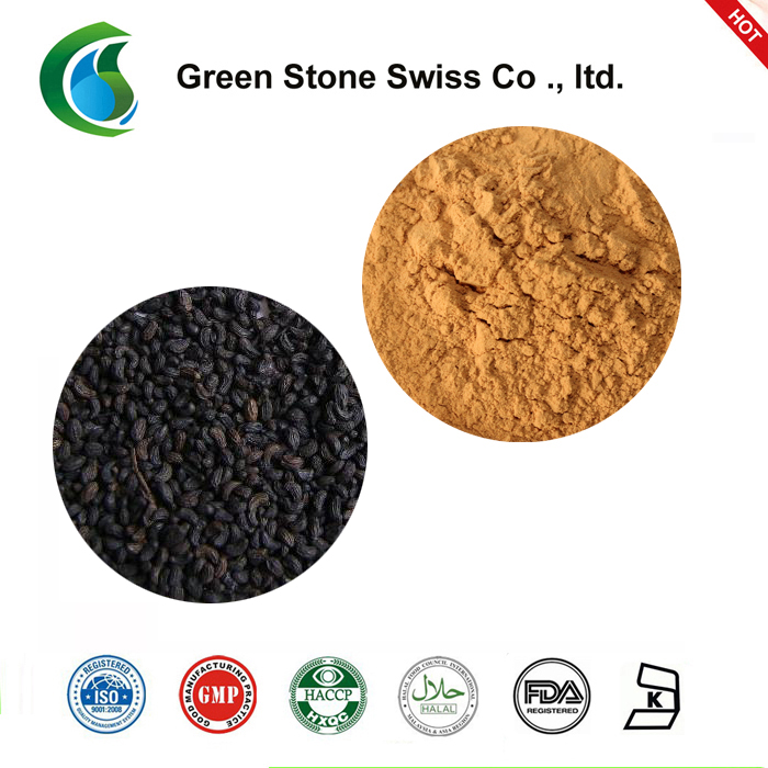 Glossy Privet Fruit Extract