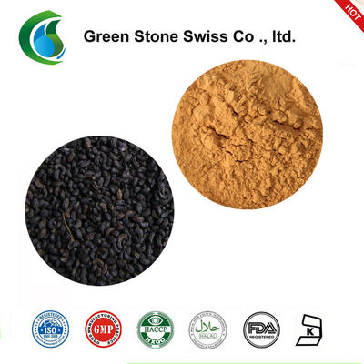 Glossy Privet Fruit Extract