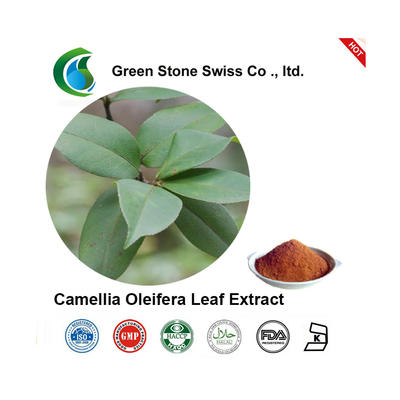 Camellia Oleifera Leaf Extract