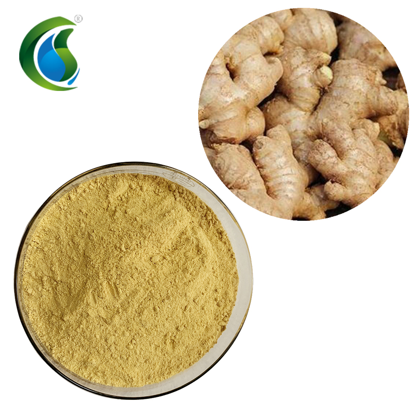 Ginger Extract Powder